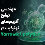 مهندسی ترشح آنزیم‌های نوترکیب در Yarrowia lipolytica