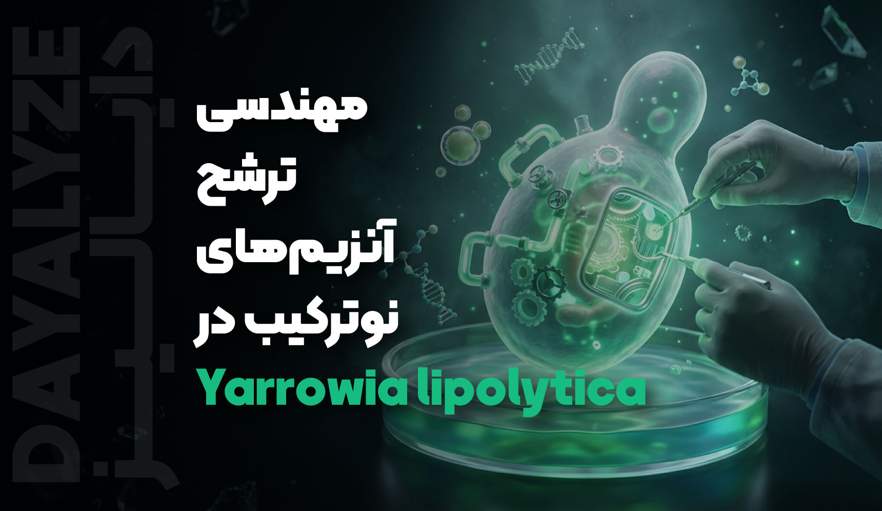 مهندسی ترشح آنزیم‌های نوترکیب در Yarrowia lipolytica